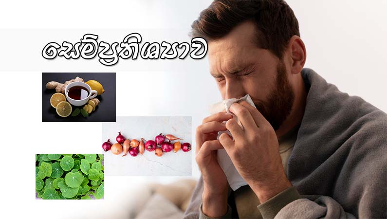 සෙම්ප්රතිශ්යාව